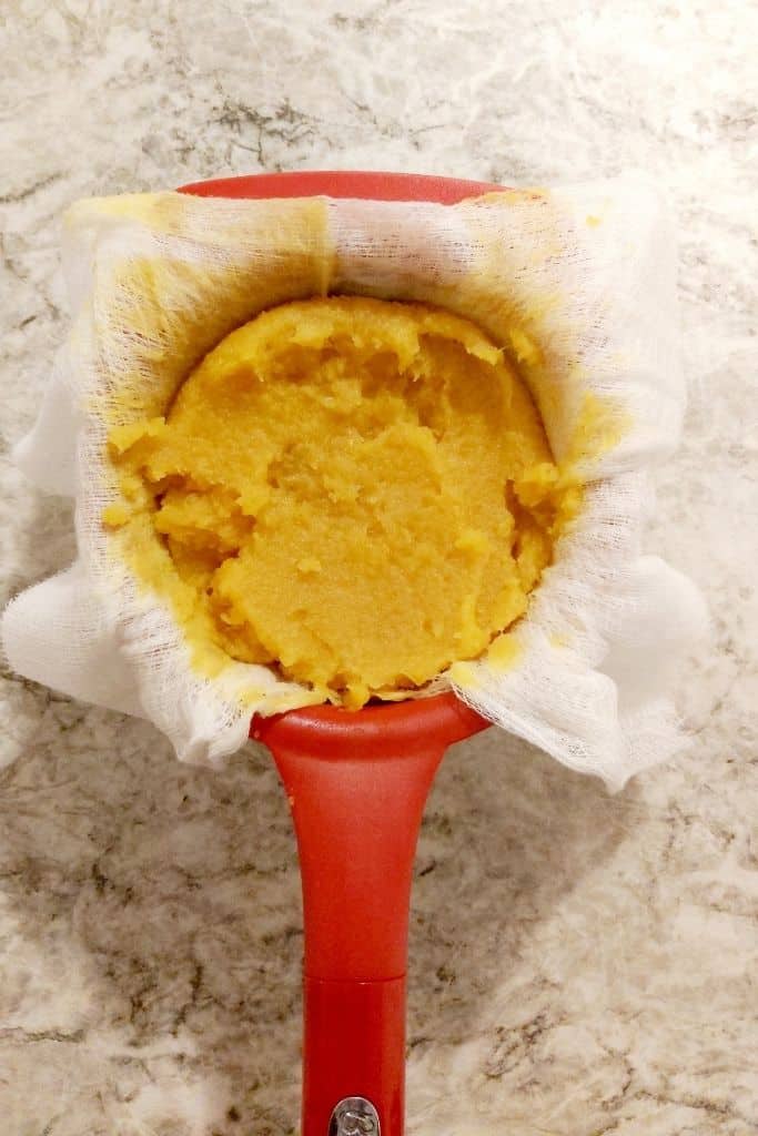 instant pot pumpkin puree