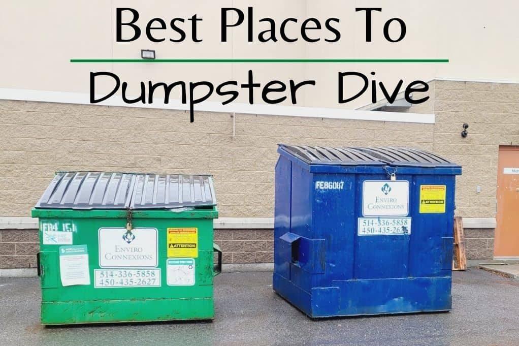 my daily dives in the dumpster