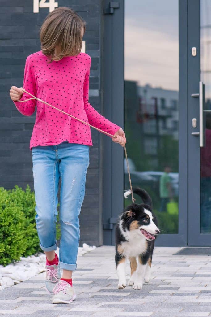 teen girl walking a dog